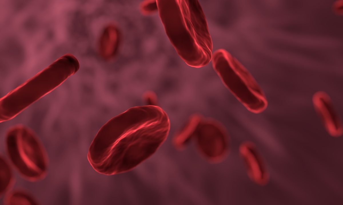 Blut, rote Blutkörperchen